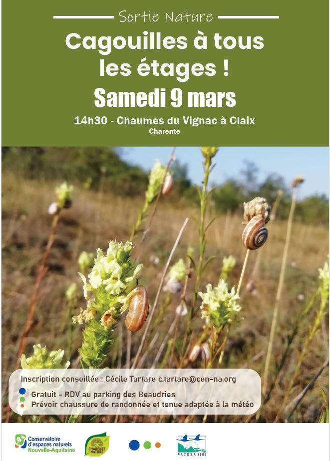 Sortie nature le 9 mars