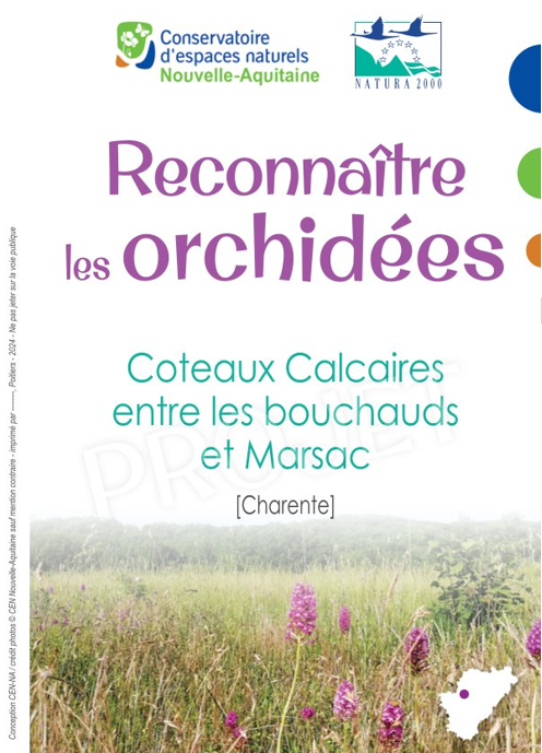 clé des Orchidées