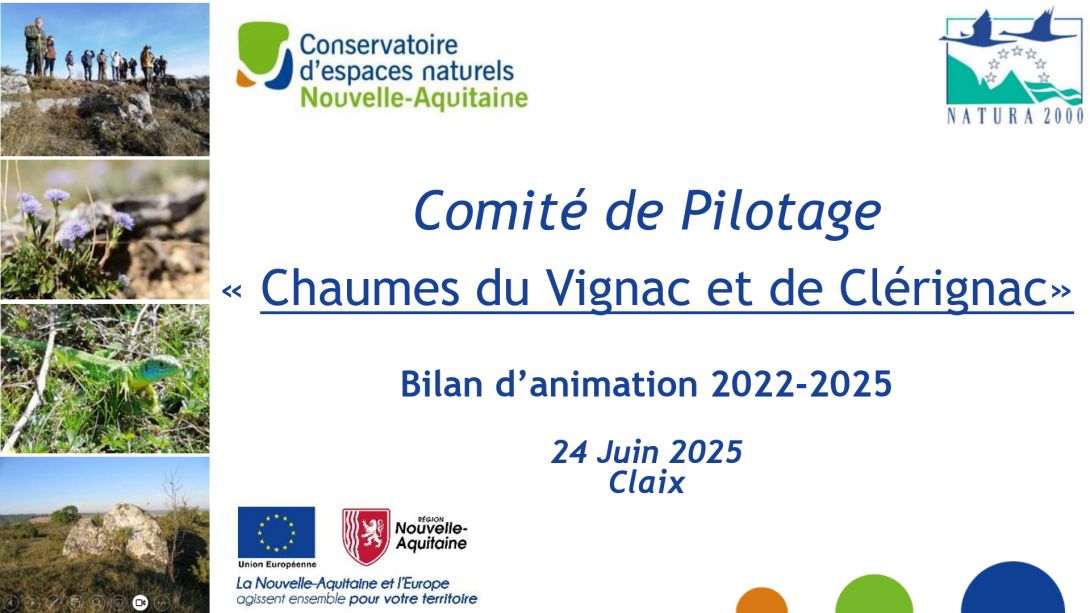 copil 2025